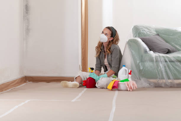 Reliable Crawl Space Mold Removal contractor in Paris, KY by WQB Mold Removal