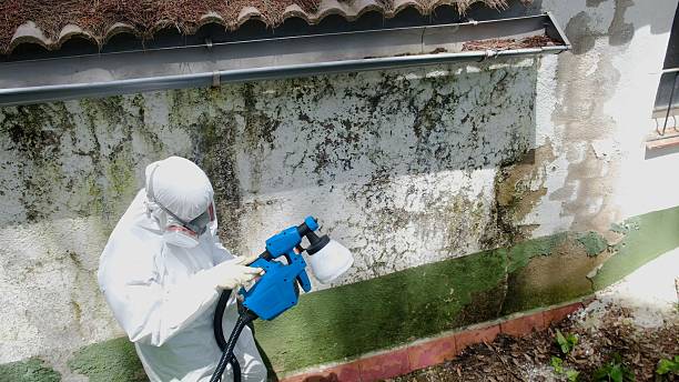 Top rated local Crawl Space Mold Removal specialists in Paris, KY